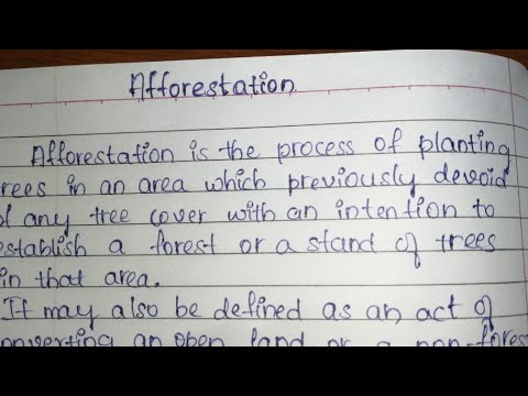 Essay on Afforestation 🌱 in English || Note on Afforestation