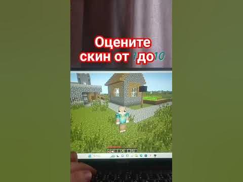 хомяк - YouTube