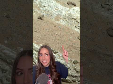 NEWS: Signs of ancient microbial life on the planet Mars #space #astronomy #nasa #science #shorts