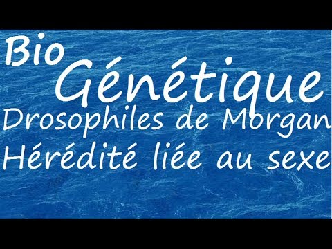 Vidéo: Mise En Place D'une Vidéoconférence Multidisciplinaire De Sortie Pour Les Enfants à Complexité Médicale: Une étude Pilote