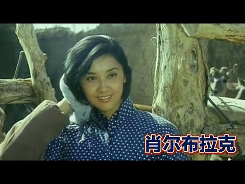 女王陛下主演的經典老電影，上映于1984年，太經典了！ #电影 #电影解说 #影视 #影视解说 #剧情