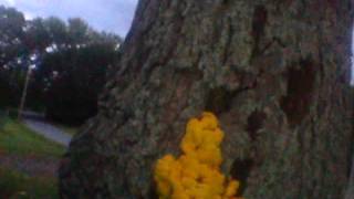 Capture 20150826 56