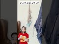أكثر كائن مؤذى لإنسان الوزغ أكثر كائن مؤذى لإنسان الوزغ