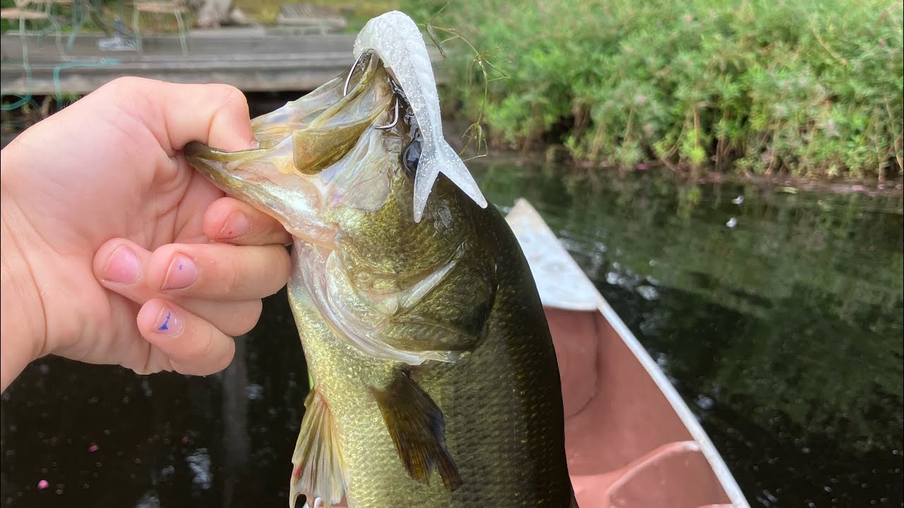 Bass fishing, whopper ploppers ￼and Zoom shads￼ #bassfishing #top water