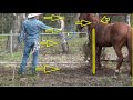 Part 1 of 2 - Working With Unhandled Stallion - The Good, The Bad & The Ugly