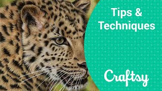 Colored Pencil: How to Create an Out-of-Focus Background