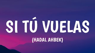 Issam Alnajjar & Danna Paola - Si Tú Vuelas (Hadal Ahbek) (Alok Remix) (Letra/Lyrics) Resimi