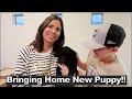 Bringing Home Our New Puppy!!