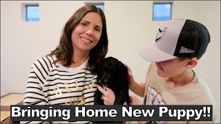 Bringing Home Our New Puppy!!