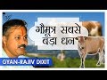 गौमूत्र सबसे बड़ा धन | Benefits Of Cow urine (Gaumutra) Explained by Rajiv Dixit