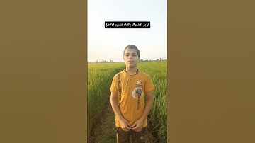 سوره القدر القارئ معاذ حسين #اكسبلور #دويتو #لايك #النظافه #تيك_توك #اهميه
