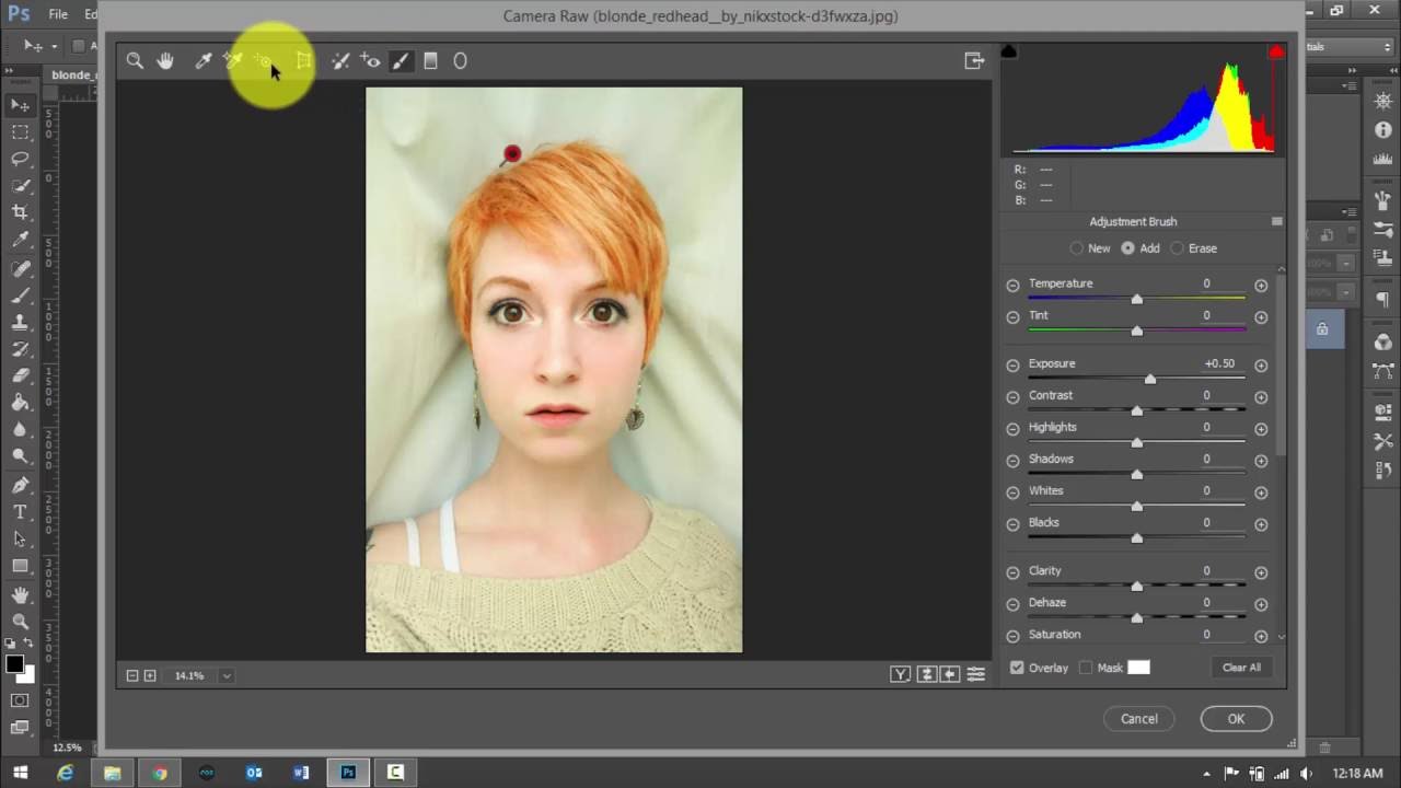 photoshop cs5 portable camera raw plugin