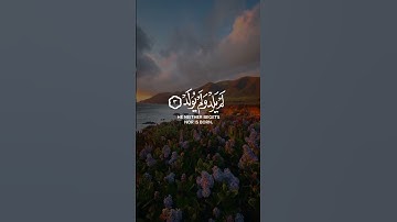 سورة الإخلاص بصوت يأسر القلوب | تلاوة خاشعة للشيخ محمد اللحيدان 💚✨