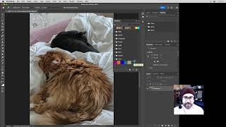 How to Use the Swatches Panel in Photoshop