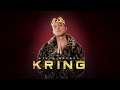 KEVIN ROLDAN Un Besito Audio mp3