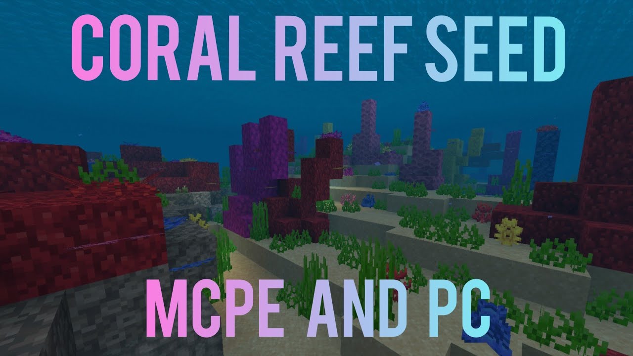 CORAL REEF Seed for MCPE and PC! - YouTube