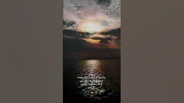 ادعيلي يالرايح اله واخذ شوك الوصله وبمشيك الكربلاء 