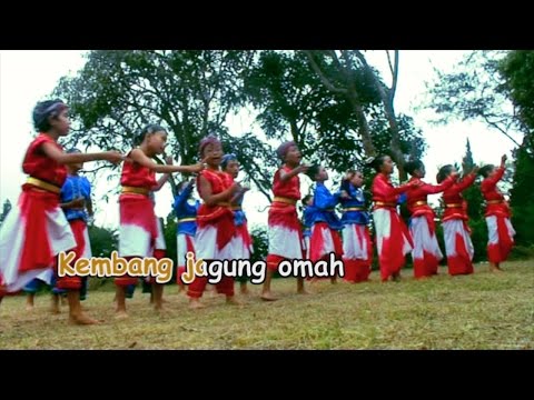Kembang Jagung - Taman Siswa Yogyakarta