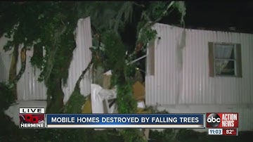 Mobile homes destroyed by falling trees in Valrico