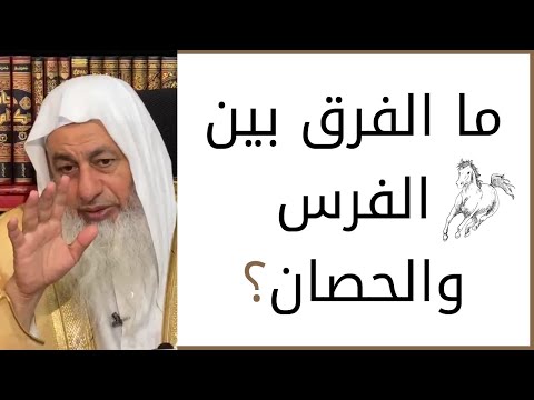ما الفرق بين الفرس والحصان