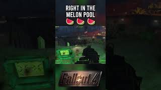 NOT THE MELON POOL @DTOID