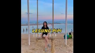 LESUNG PIPI ANAK MANTU( remix terbaru 2023)