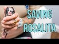 Saving a onedayold kitten rosalita