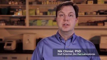 Adjusting Probe Height - Bio-Plex® 200 Multiplex Immunoassay System