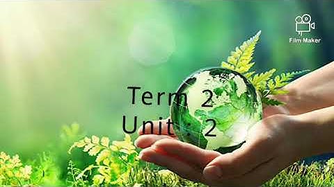 1 st standard | Term 2 | EVS | Unit 2 | close the tap song