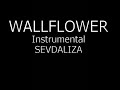 Wallflower Sevdaliza Instrumental mp3