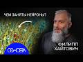 НЕЙРОБИОЛОГ ХАЙТОВИЧ: ГОТОВЬТЕСЬ К ЧИПИРОВАНИЮ МОЗГА