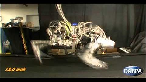 REVERSED: DARPA Cheetah Sets Speed Record for Legged Robots. На обратной скорости