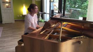 Summertime Cover - Julia Meissner