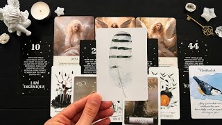 Environmental For Someone Seeing A Lot Of Angel Numbers Lately…🪽✨ Camera Feed