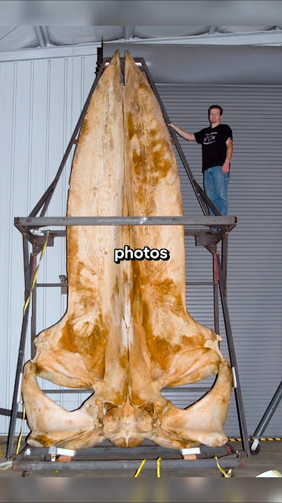 Rare Photos That Will Leave You Speechless! (part 3)
