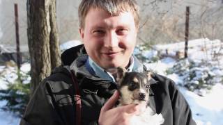 Знамя калининградской оппозиции - Михаил Костяев Косой