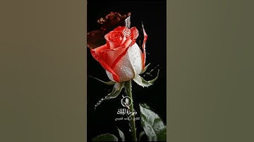 تلاوة مؤثره😢للقارئ احمد العجمي سورة الملك//حالات واتس اب قران مؤثره//ستوريات انستغرام قصيره//