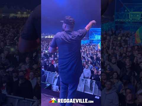 Gentleman @ Reggae Geel 2025