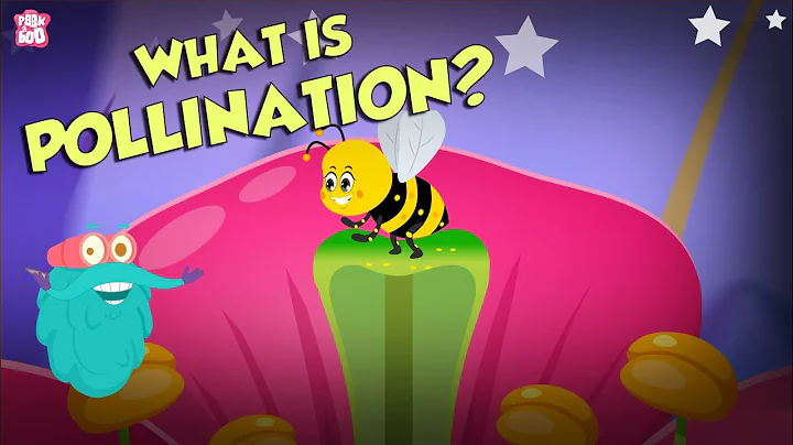 What Is Pollination? | POLLINATION | The Dr Binocs Show | Peekaboo Kidz - DayDayNews