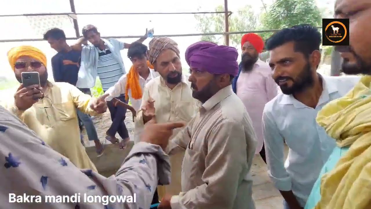 Bakra mandi longowal || ਮਿੱਠੂ ਸਦਿਕ ਦੇ live sauda || 5-5 ਹਜ਼ਾਰ ਦੀਆ ਬੱਕਰੀਆਂ||ਲੋਂਗੋਵਾਲ ਬੱਕਰਾ ਮੰਡੀ#goat
