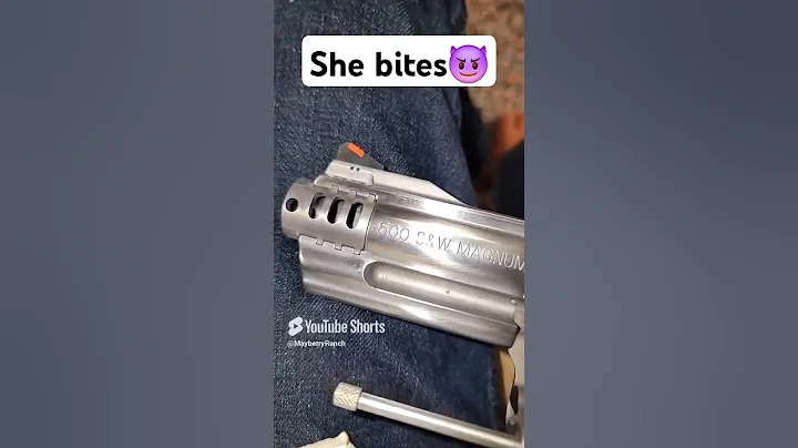 S&W 500 Mag Snub Nose ! #shorts