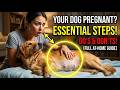 Pregnant Dog About to Give Birth? Do This First