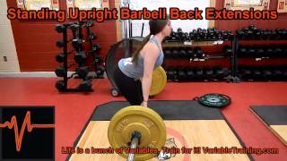 Standing Upright Barbell Back Extensions