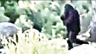 A Closer Look - Bigfoot Filmed Independence Day Thinkerthunker