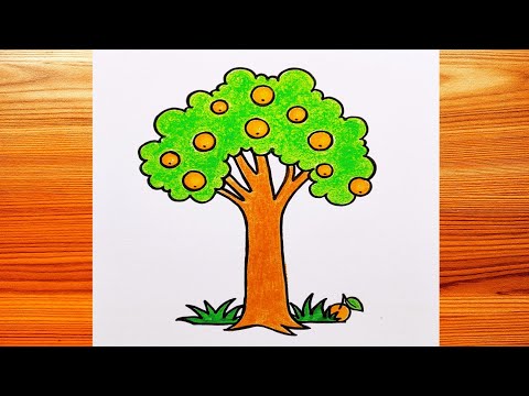 Video: Orange tree - what is it? A photo