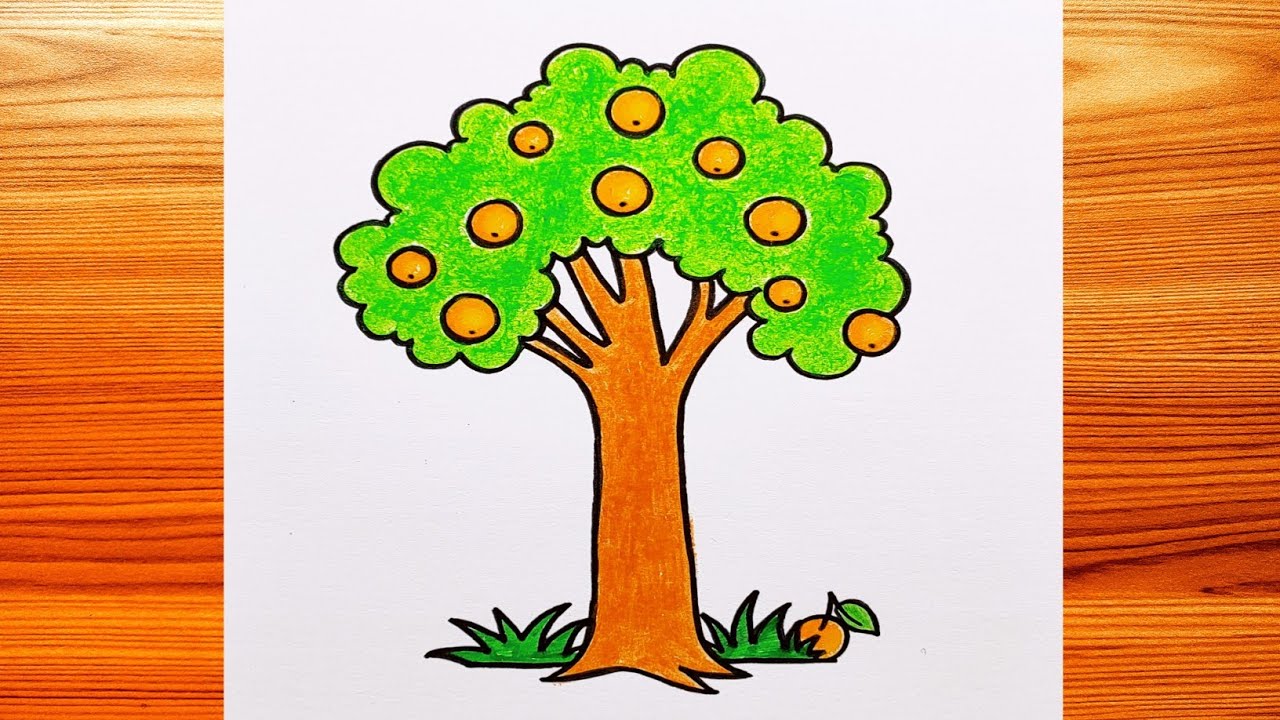 How to Draw a Tree – Emily Drawing-saigonsouth.com.vn