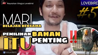 Ciri Bahan Lovebird Durasi Panjang | Long Duration Lovebird Material Characteristics