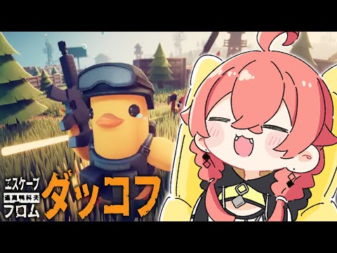 【 エスケープ フロム ダッコフ 】ちょっとだけっっっっ!!!!!【にじさんじ/獅子堂あかり】 video thumb