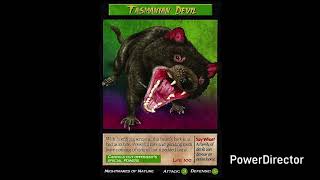 Weird N Wild Creatures J Paul Style Season 2 Episode 1 Tasmanian Devil 