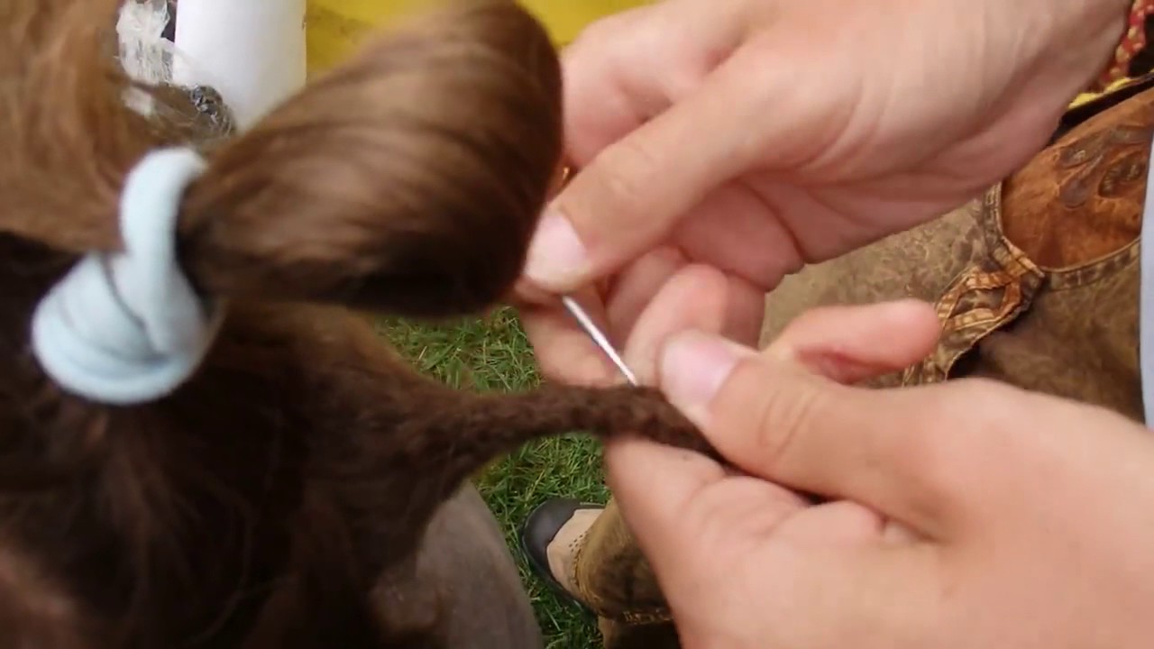 Ako urobiť nový dred by Shaman Dreads...